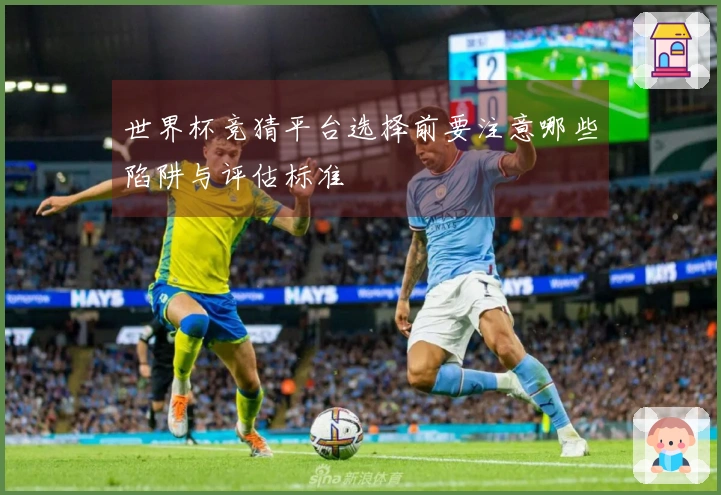 世界杯竞猜平台选择前要注意哪些陷阱与评估标准
