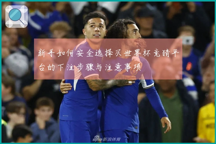 新手如何安全选择买世界杯竞猜平台的下注步骤与注意事项