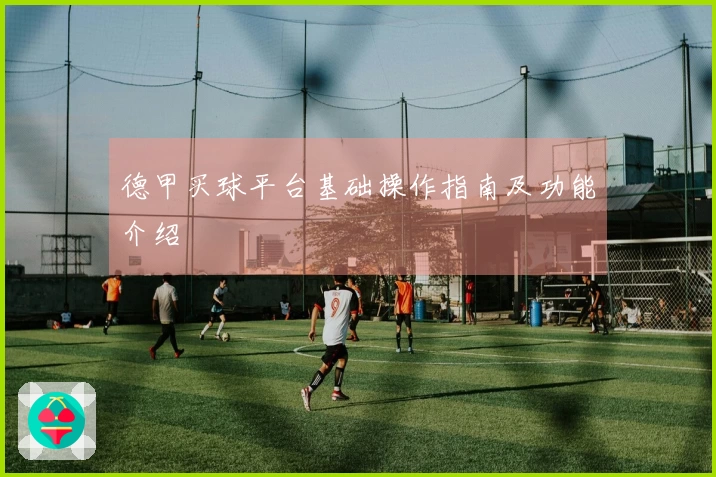 德甲买球平台基础操作指南及功能介绍