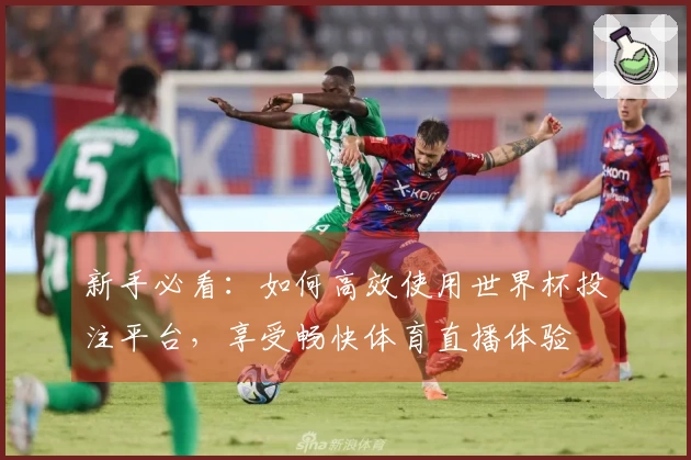 新手必看：如何高效使用世界杯投注平台，享受畅快体育直播体验