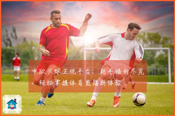 中欧买球正规平台：新手福利尽览，轻松掌握体育直播新体验