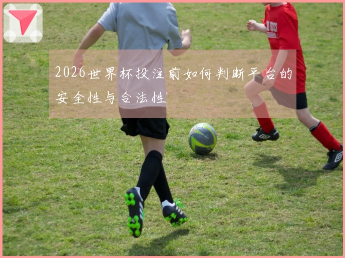 2026世界杯投注前如何判断平台的安全性与合法性