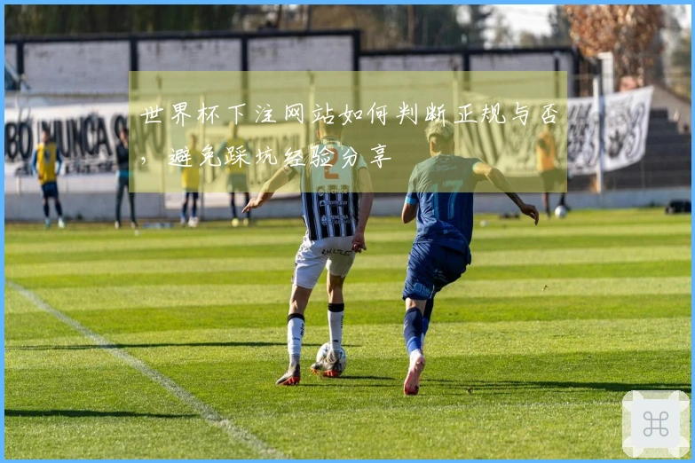世界杯下注网站如何判断正规与否，避免踩坑经验分享