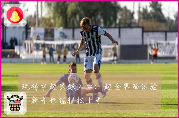 玩转中超买球入口：超全界面体验，新手也能轻松上手