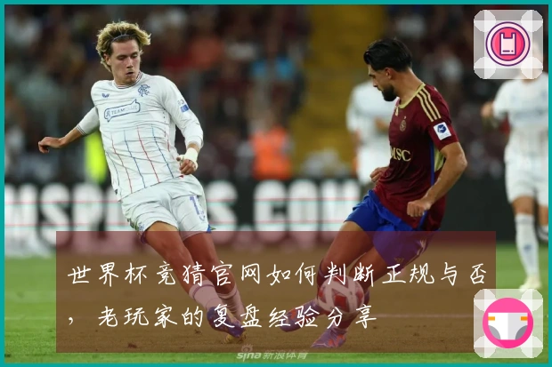世界杯竞猜官网如何判断正规与否，老玩家的复盘经验分享