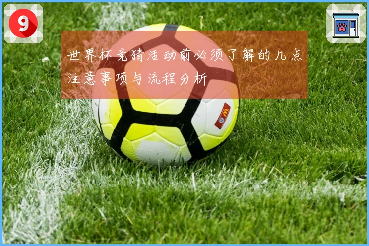 世界杯竞猜活动前必须了解的几点注意事项与流程分析