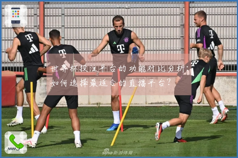 世界杯投注平台的功能对比分析：如何选择最适合的直播平台？