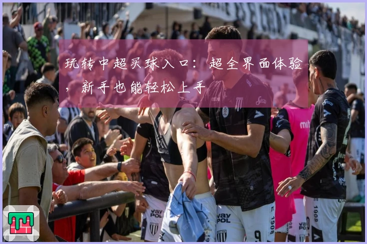 玩转中超买球入口：超全界面体验，新手也能轻松上手