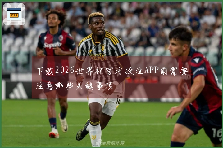 下载2026世界杯官方投注APP前需要注意哪些关键事项