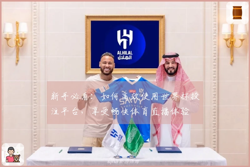 新手必看：如何高效使用世界杯投注平台，享受畅快体育直播体验