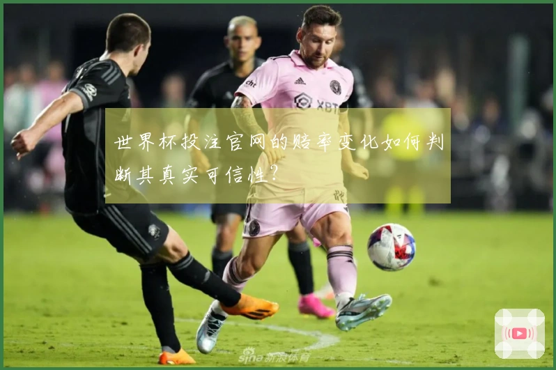 世界杯投注官网的赔率变化如何判断其真实可信性？