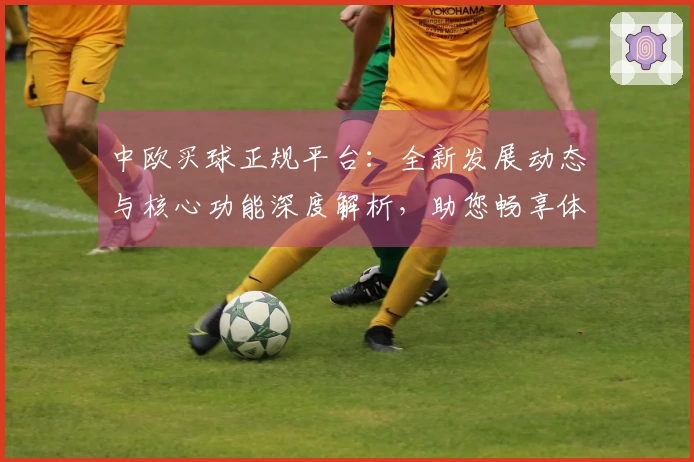中欧买球正规平台：全新发展动态与核心功能深度解析，助您畅享体育直播盛宴