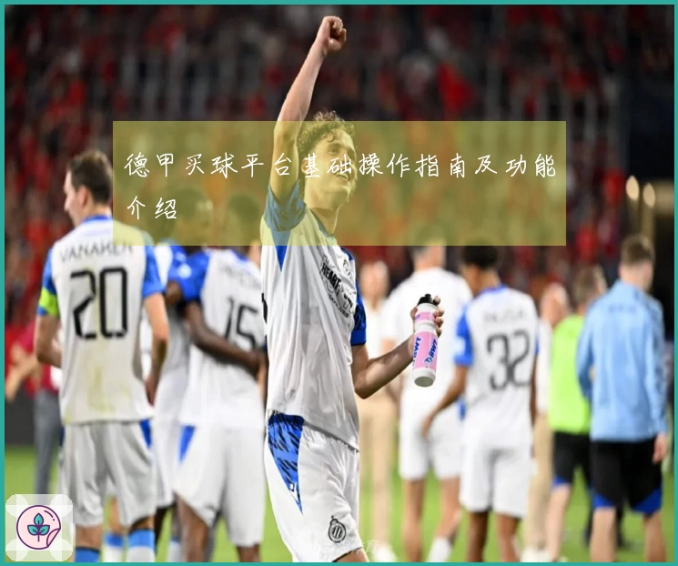 德甲买球平台基础操作指南及功能介绍
