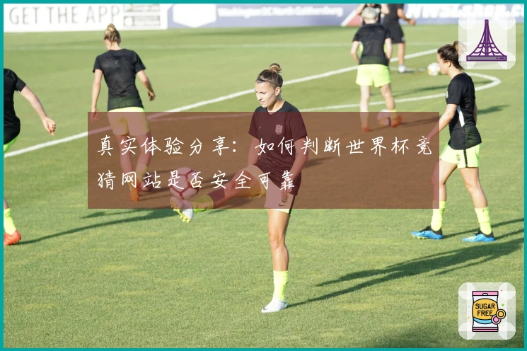 真实体验分享：如何判断世界杯竞猜网站是否安全可靠