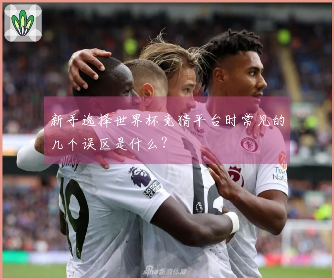 新手选择世界杯竞猜平台时常见的几个误区是什么？