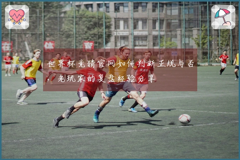 世界杯竞猜官网如何判断正规与否，老玩家的复盘经验分享