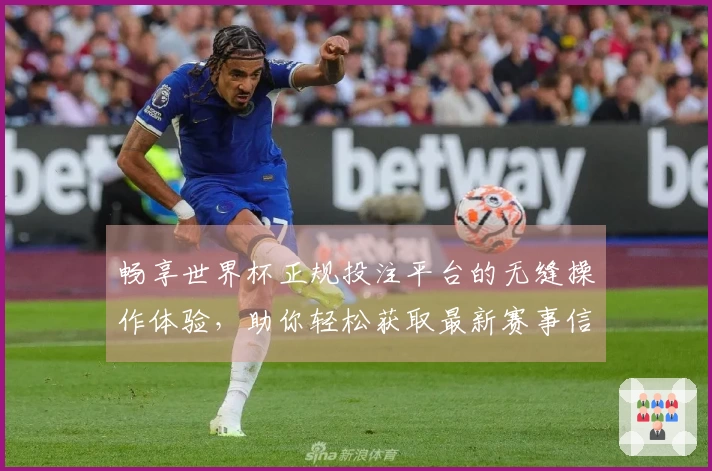 畅享世界杯正规投注平台的无缝操作体验，助你轻松获取最新赛事信息