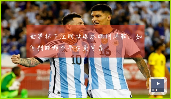 世界杯下注网站返水规则详解，如何判断哪个平台更可靠
