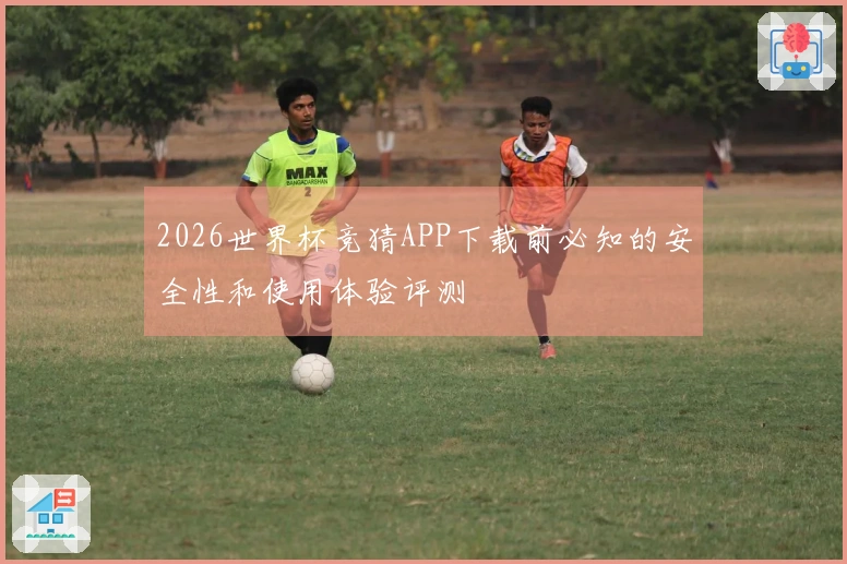 2026世界杯竞猜APP下载前必知的安全性和使用体验评测